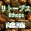 lithops1